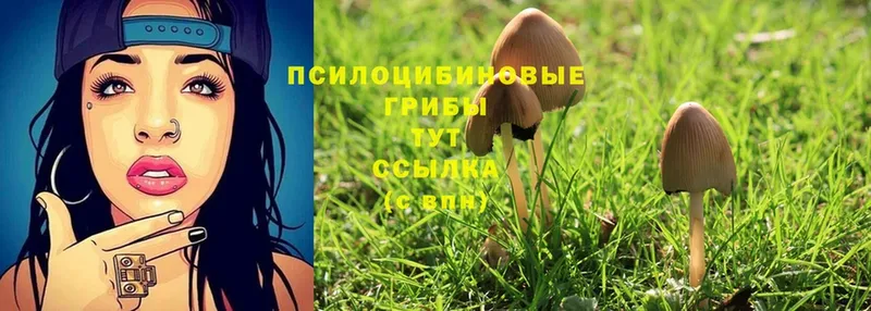 Псилоцибиновые грибы MAGIC MUSHROOMS  Калининец 